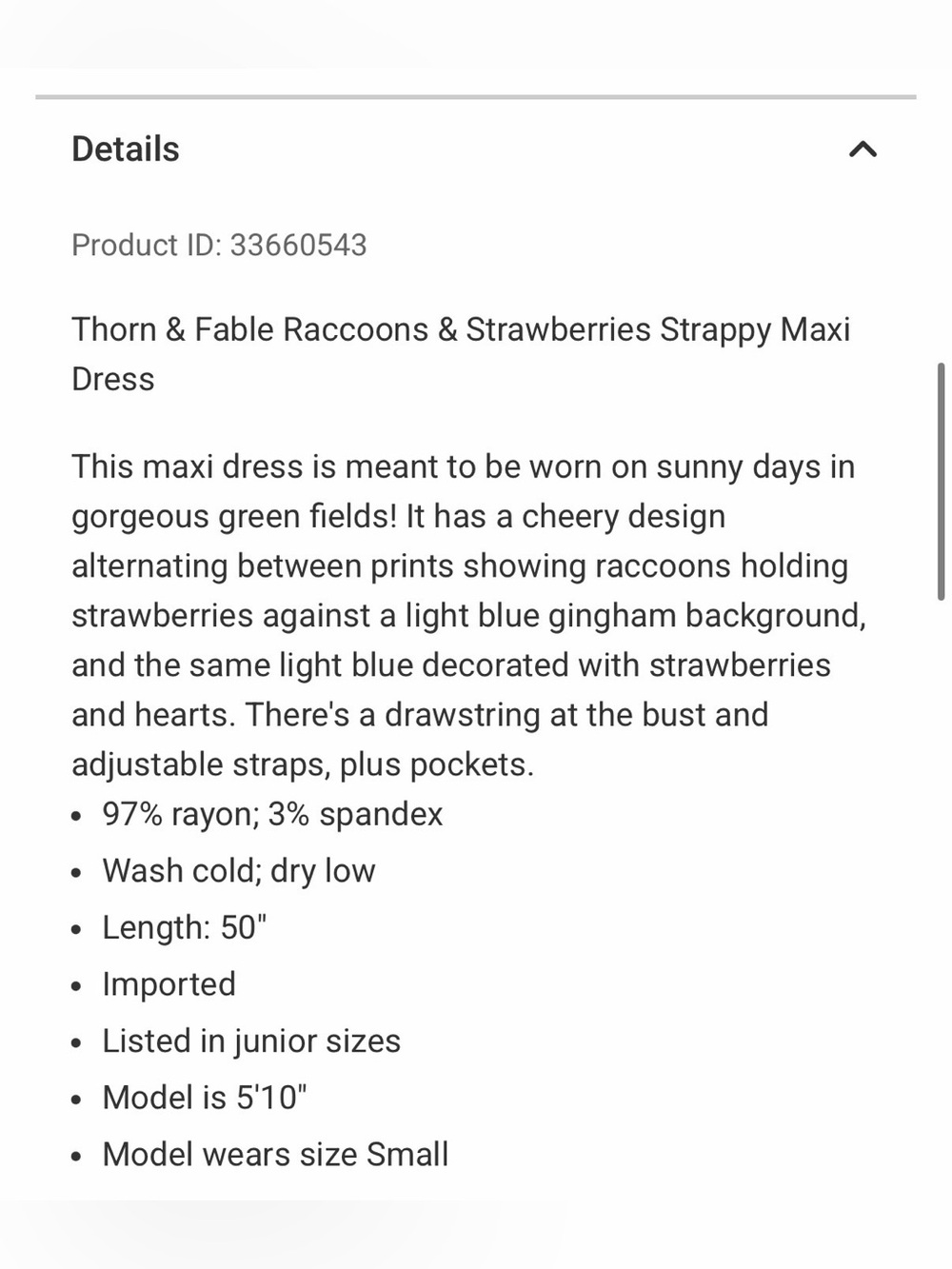 NEW Thorn & Fable Raccoons & Strawberries Strappy Maxi Dress - Hot Topic - Small - Picture 4 of 8